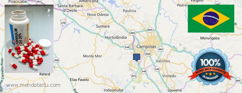 Wo kaufen Forskolin online Campinas, Brazil
