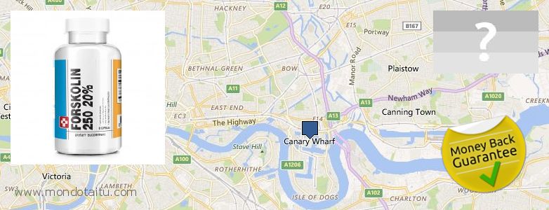 Where Can I Buy Forskolin Diet Pills online Canary Wharf, UK