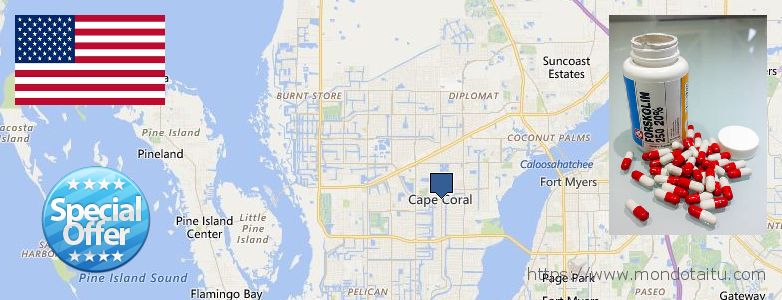 Waar te koop Forskolin online Cape Coral, United States