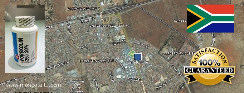 Waar te koop Forskolin online Carletonville, South Africa