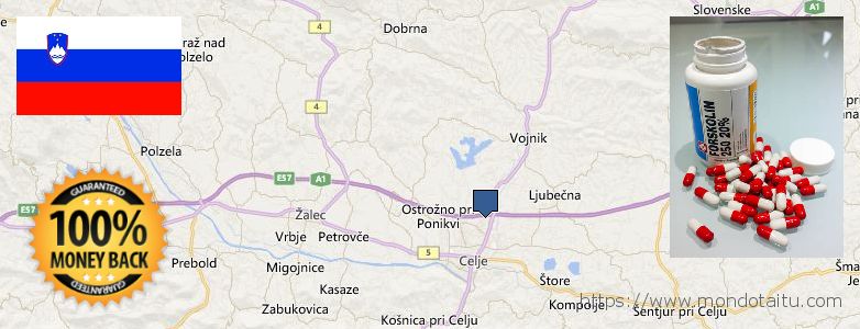 Where to Buy Forskolin Diet Pills online Celje, Slovenia