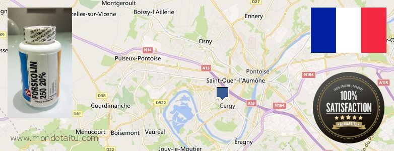 Où Acheter Forskolin en ligne Cergy-Pontoise, France
