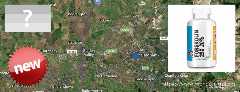Dónde comprar Forskolin en linea Cheltenham, UK