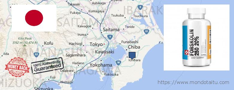 Where to Buy Forskolin Diet Pills online Chiba, Japan