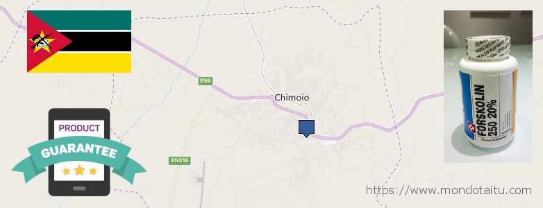 Onde Comprar Forskolin on-line Chimoio, Mozambique