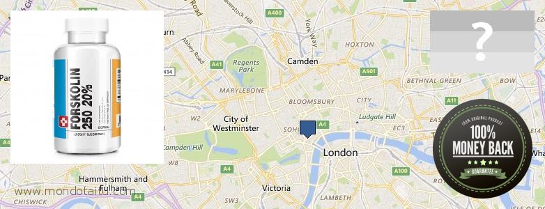 Dónde comprar Forskolin en linea City of London, UK