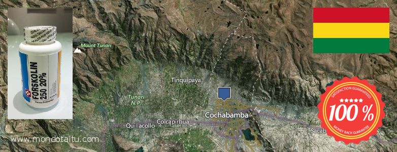 Dónde comprar Forskolin en linea Cochabamba, Bolivia