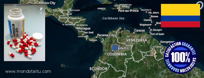 Dove acquistare Forskolin in linea Colombia