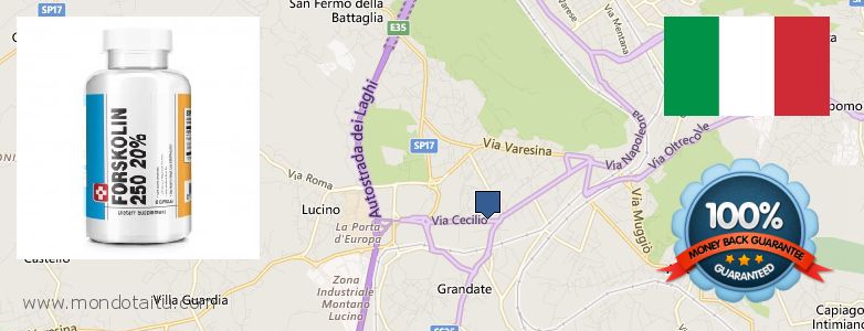 Dove acquistare Forskolin in linea Como, Italy