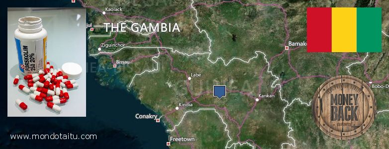 Where to Buy Forskolin Diet Pills online Conakry, Guinea