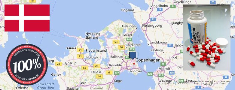 Wo kaufen Forskolin online Copenhagen, Denmark