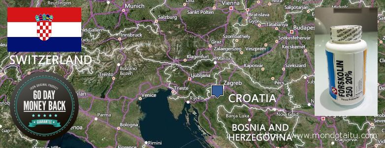Buy Forskolin Diet Pills online Croatia Where to Purchase Forskolin Diet Pills online Croatia