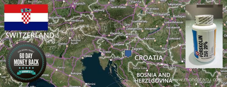 Dove acquistare Forskolin in linea Croatia