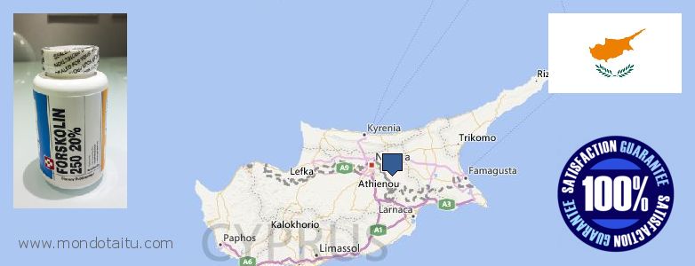 Where to Purchase Forskolin Diet Pills online Cyprus