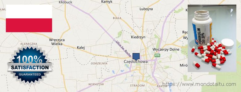 Where Can You Buy Forskolin Diet Pills online Czestochowa, Poland
