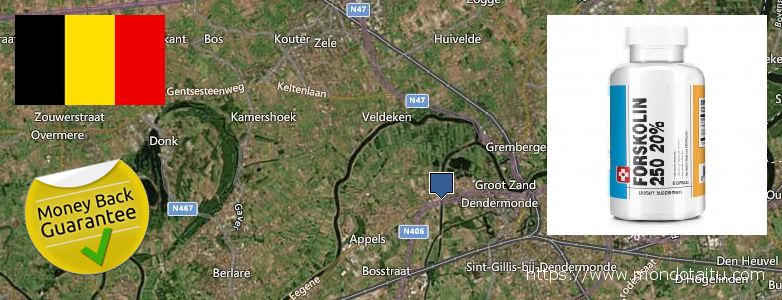 Wo kaufen Forskolin online Dendermonde, Belgium