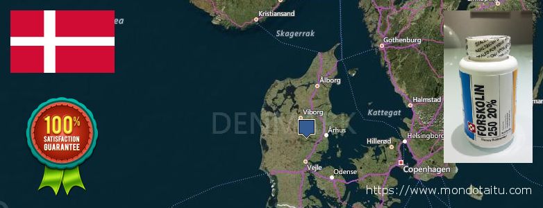 Where to Purchase Forskolin Diet Pills online Denmark
