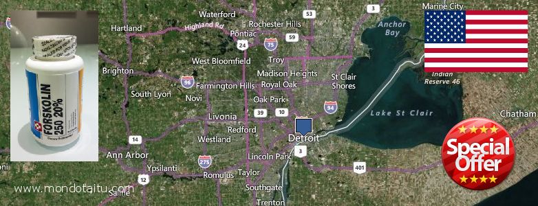 Wo kaufen Forskolin online Detroit, United States