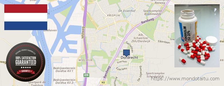 Waar te koop Forskolin online Dordrecht, Netherlands