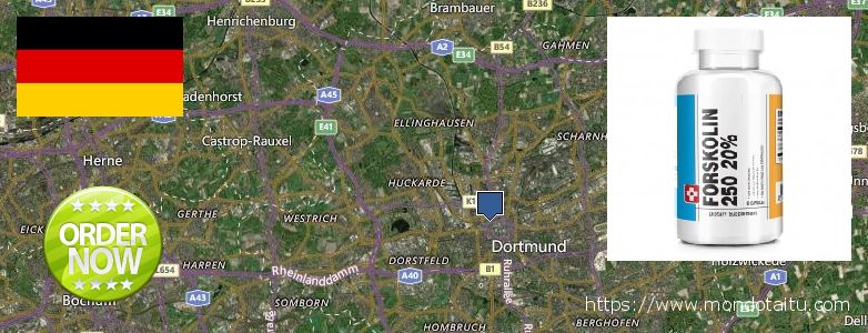 Wo kaufen Forskolin online Dortmund, Germany