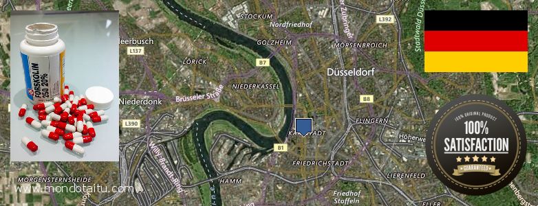 Wo kaufen Forskolin online Duesseldorf, Germany
