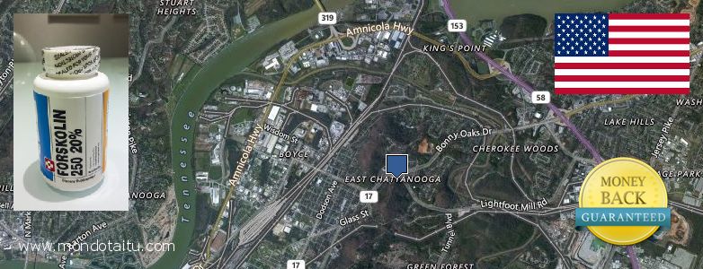 Dove acquistare Forskolin in linea East Chattanooga, United States