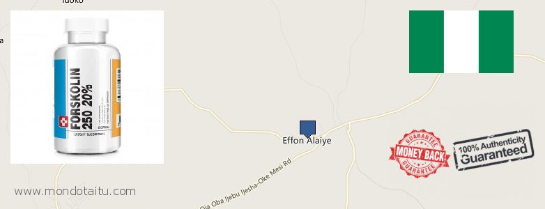 Where to Buy Forskolin Diet Pills online Effon Alaiye, Nigeria