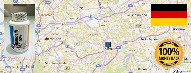 Where to Purchase Forskolin Diet Pills online Essen, Germany