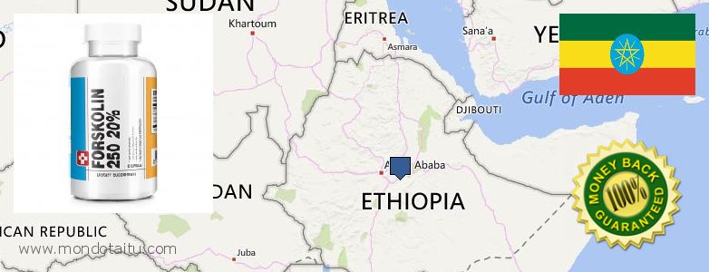 Dove acquistare Forskolin in linea Ethiopia