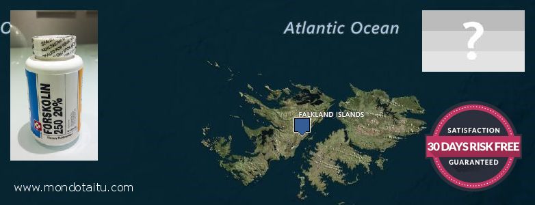 Where to Purchase Forskolin Diet Pills online Falkland Islands