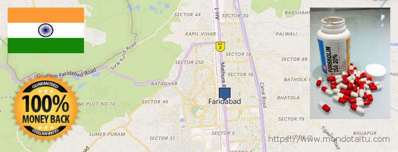 Where to Buy Forskolin Diet Pills online Faridabad, India