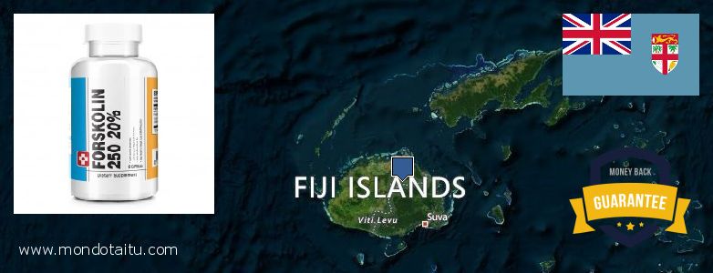 Buy Forskolin Diet Pills online Fiji Where to Purchase Forskolin Diet Pills online Fiji