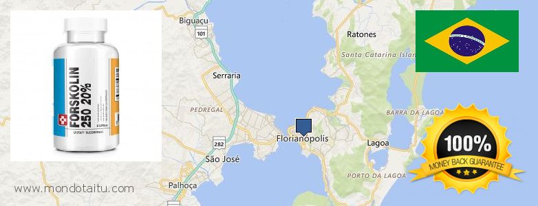 Dónde comprar Forskolin en linea Florianopolis, Brazil