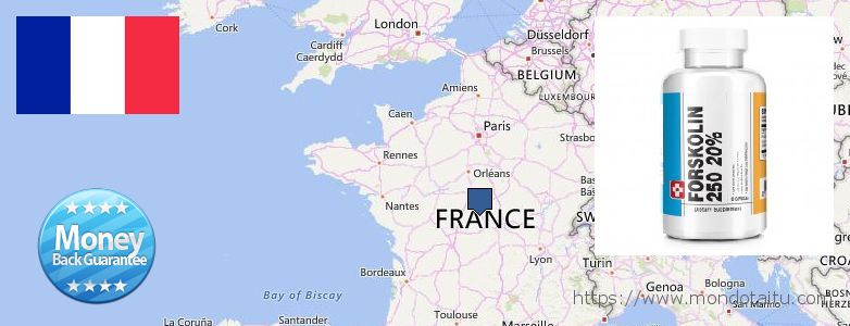 Where Can I Purchase Forskolin Diet Pills online France