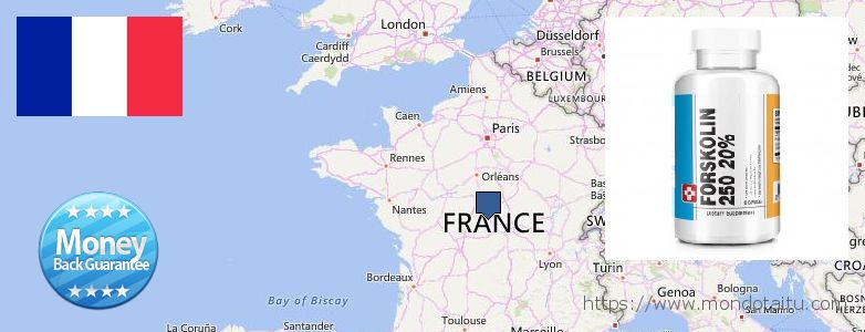 Buy Forskolin Diet Pills online France Where to Buy Forskolin Diet Pills online France