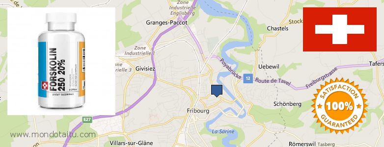 Where to Purchase Forskolin Diet Pills online Fribourg, Switzerland