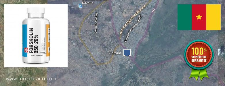 Où Acheter Forskolin en ligne Garoua, Cameroon