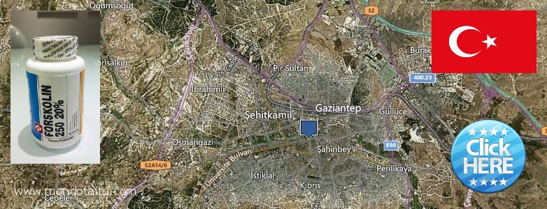 Purchase Forskolin Diet Pills online Gaziantep, Turkey