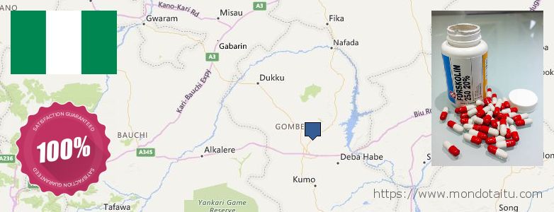 Where to Purchase Forskolin Diet Pills online Gombe, Nigeria