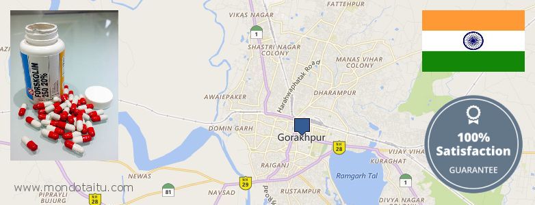 Where to Purchase Forskolin Diet Pills online Gorakhpur, India