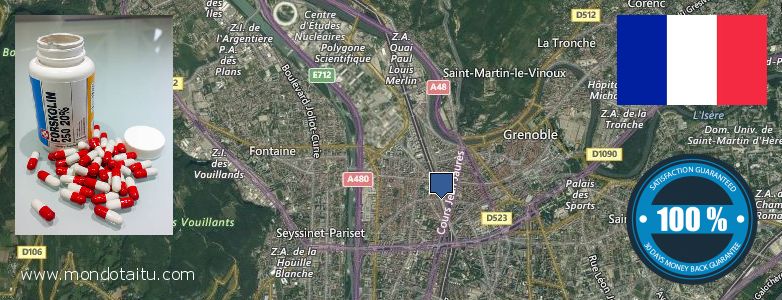 Où Acheter Forskolin en ligne Grenoble, France