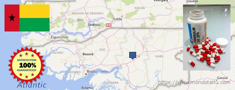Where to Buy Forskolin Diet Pills online Guinea Bissau
