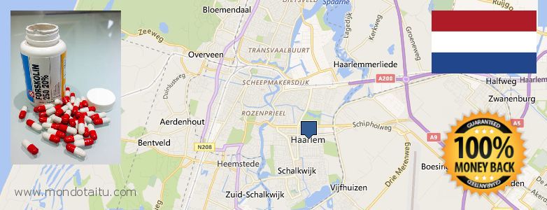 Waar te koop Forskolin online Haarlem, Netherlands