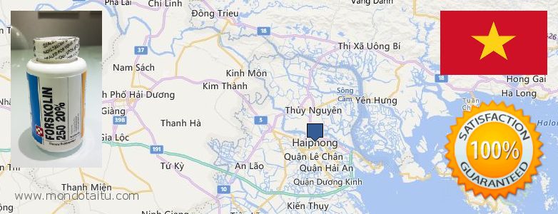 Where Can I Purchase Forskolin Diet Pills online Haiphong, Vietnam