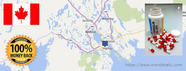 Où Acheter Forskolin en ligne Halifax, Canada