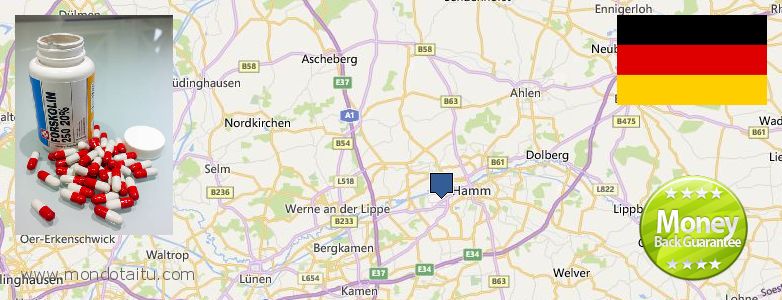 Wo kaufen Forskolin online Hamm, Germany