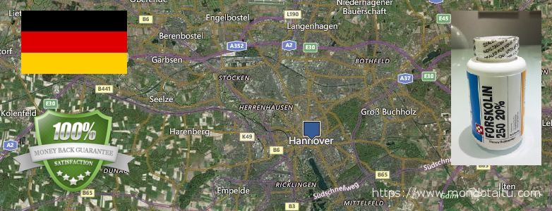 Wo kaufen Forskolin online Hannover, Germany