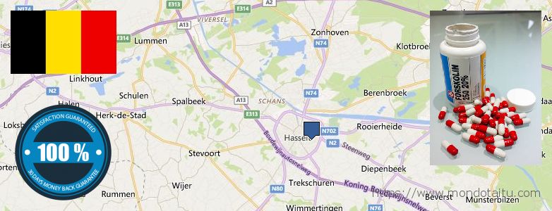 Wo kaufen Forskolin online Hasselt, Belgium