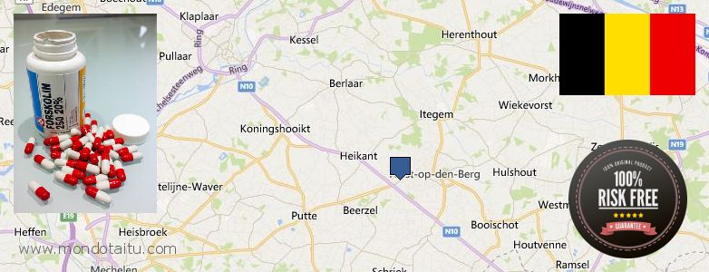 Wo kaufen Forskolin online Heist-op-den-Berg, Belgium