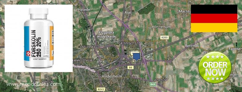 Wo kaufen Forskolin online Hildesheim, Germany